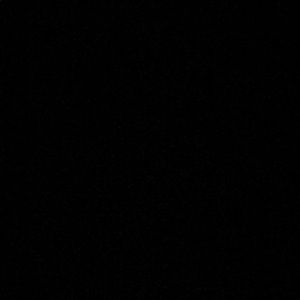 Meet your Posher, Joey